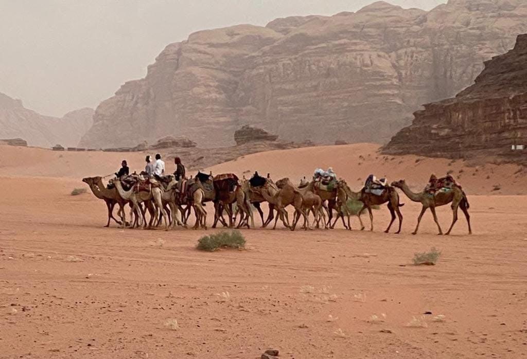 Wadi Rum Trail Exteriér fotografie