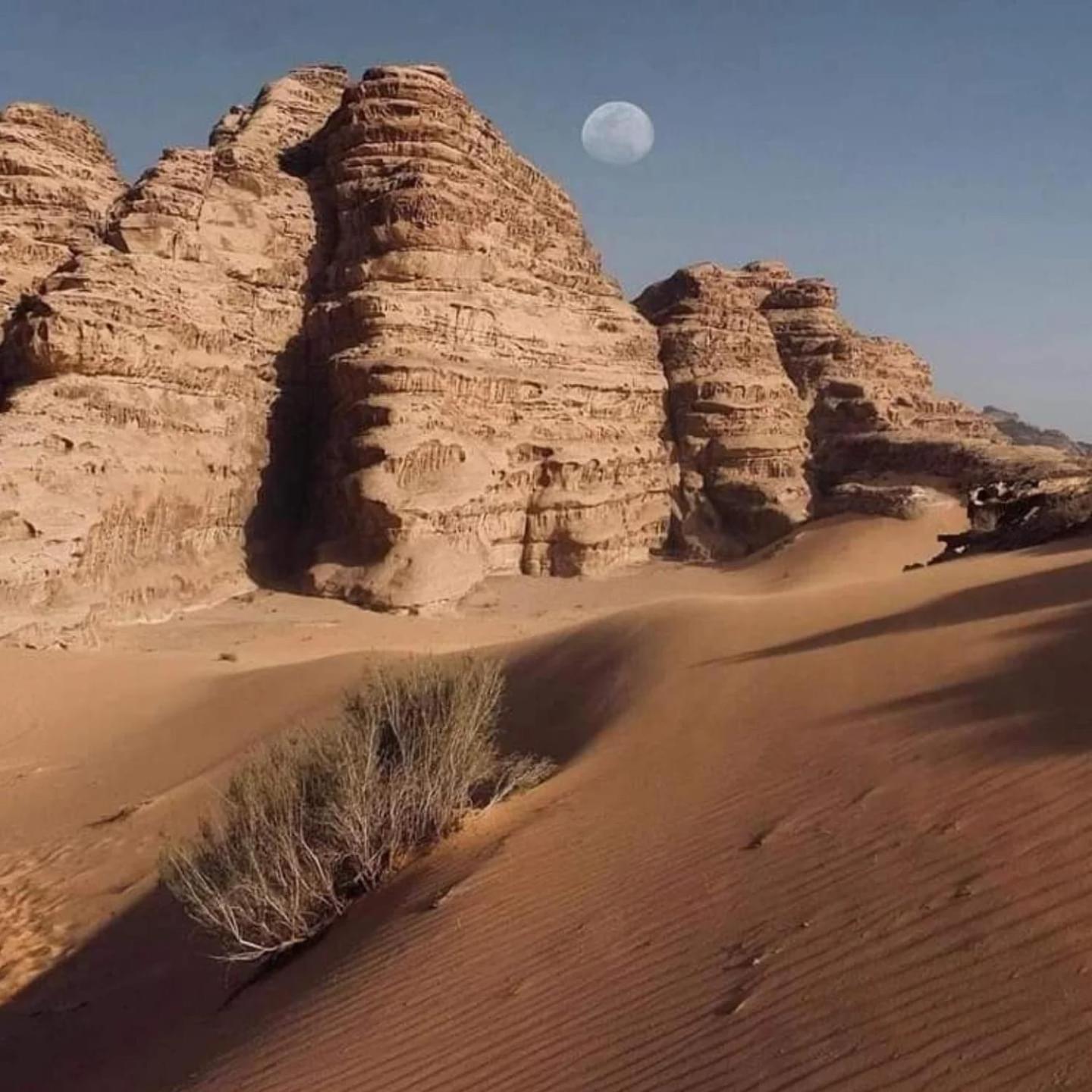 Wadi Rum Trail Exteriér fotografie